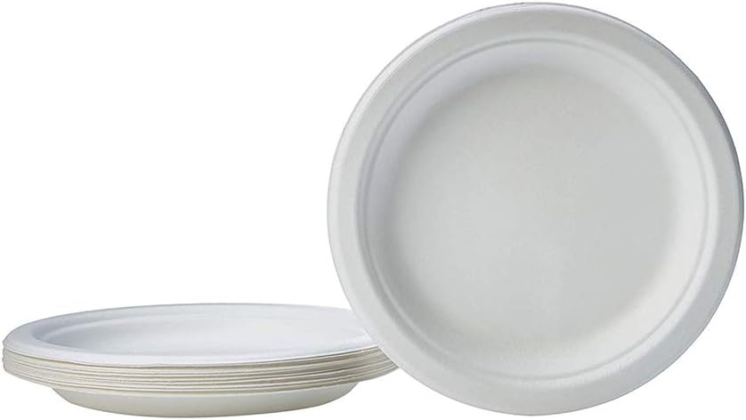 10" Biodegradable Paper Plates Microwavable White 500 pcs $59.99