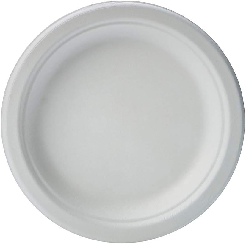 10" Biodegradable Paper Plates Microwavable White 500 pcs $59.99