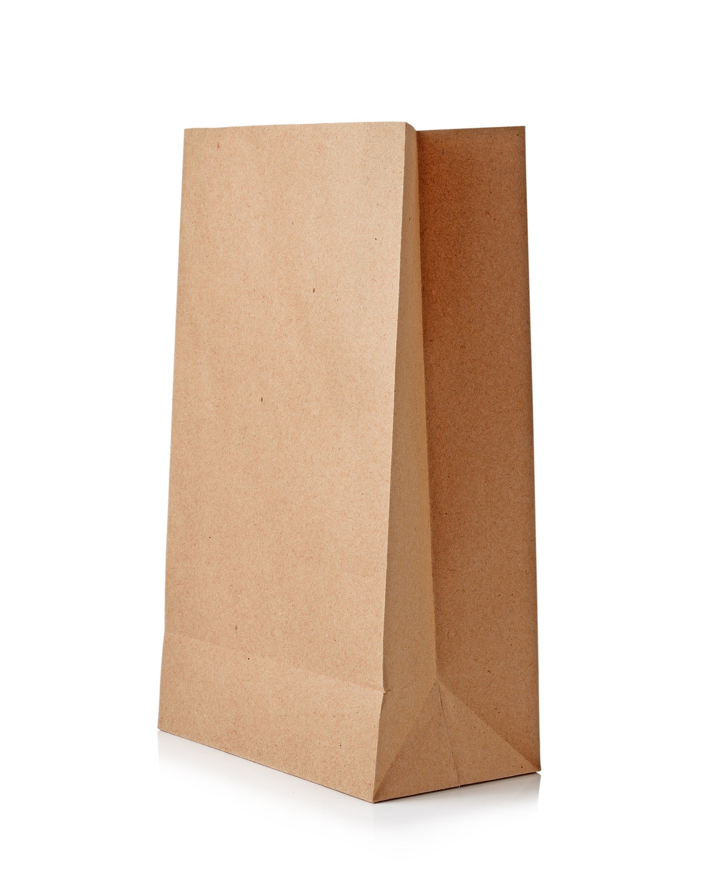 #2 Lb Kraft Bag [500 Pack];$9.99